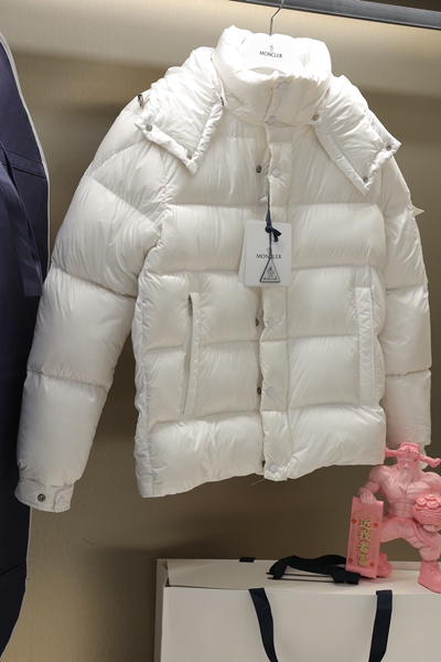 ハイクオリティダウンジャケット背面デザイン